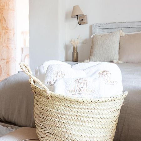 Tenuta Pinto Mola di Bari Kültér fotó